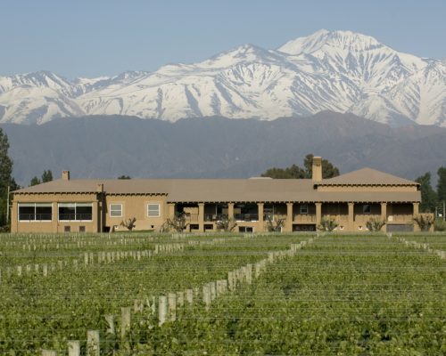 enoturismo lujan